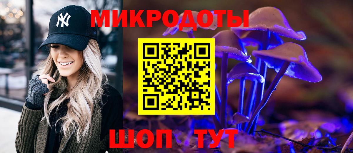 Галлюциногенные грибы Psilocybe  Галлюциногенные грибы Psilocybe  Вход с VPN  что такое   Аргун 