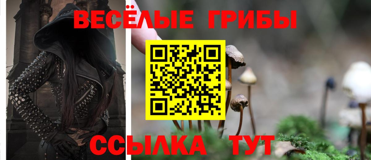 Псилоцибиновые грибы ЛСД Аргун